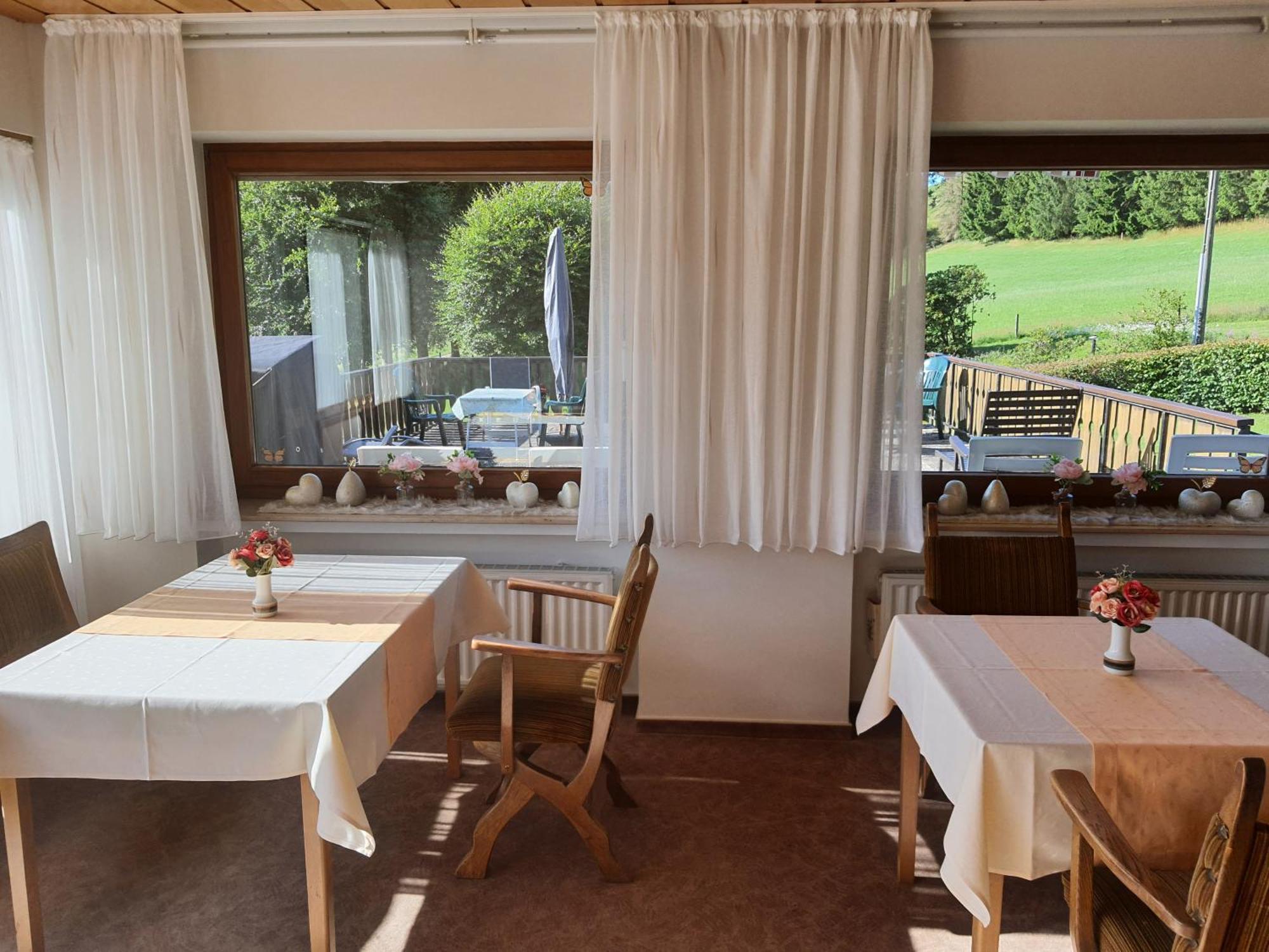 Pension-Gaestehaus Waldhof 빈터베르크 외부 사진