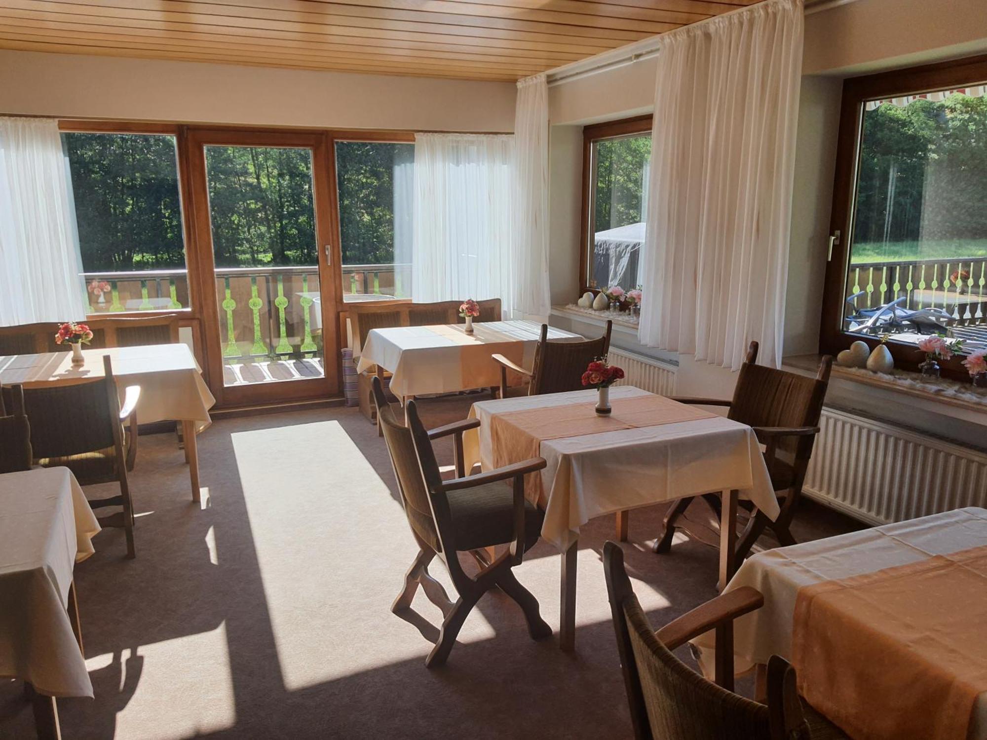 Pension-Gaestehaus Waldhof 빈터베르크 외부 사진